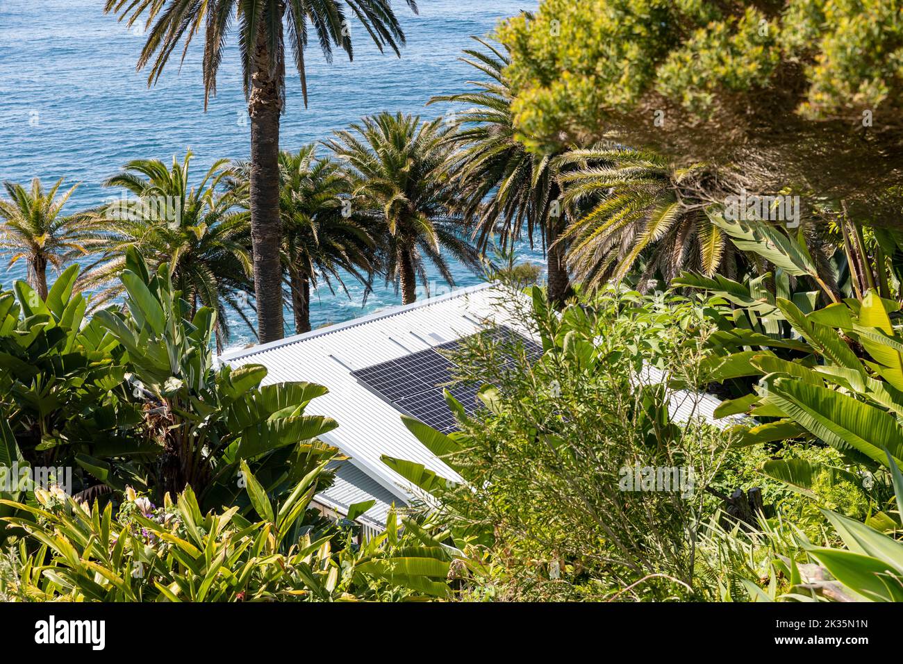 Pannelli solari su un tetto di una piccola casa Palm Beach a Sydney, con l'oceano sotto e grandi piante tropicali e palme che circondano i pannelli solari Foto Stock