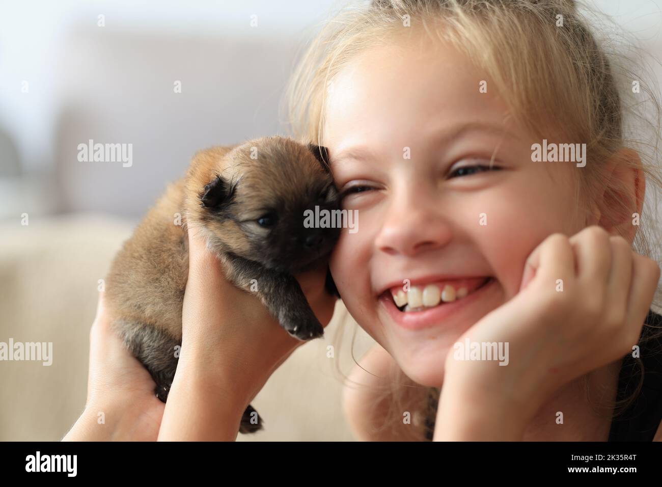 Felice bambina dà e puppy pomeranian Foto Stock