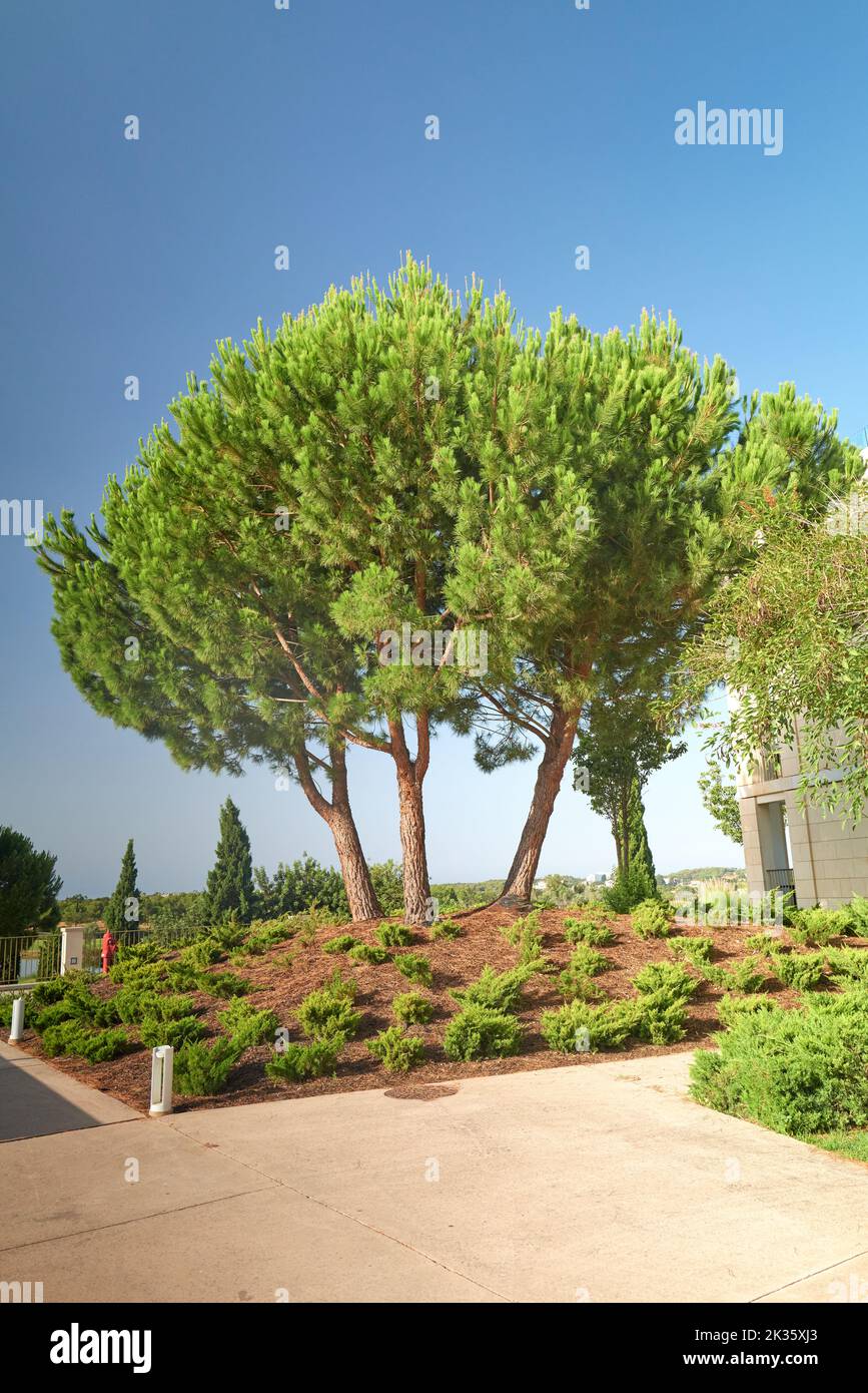 Una vasca idromassaggio nella soleggiata Algarve, Portogallo Foto Stock