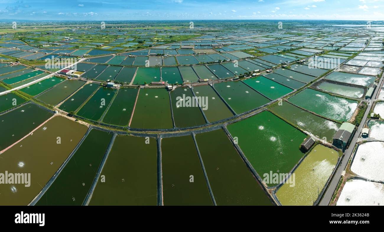 Vista aerea della fattoria di gamberetti a Taiwan Foto Stock