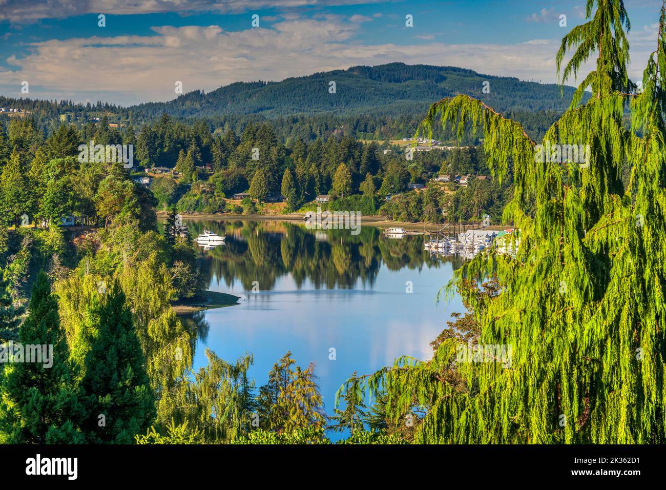 Vista panoramica sulla penisola di Kitsap, Bremerton, Washington, USA Foto Stock