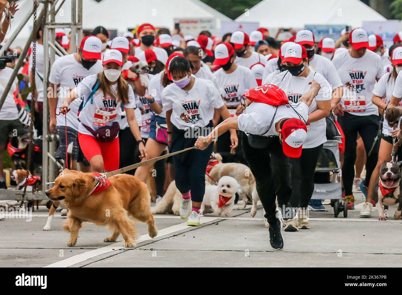 Pasig City, Filippine. 25th Set, 2022. Un uomo viene trascinato dal suo cane durante la maratona "Run Fur Life" a Pasig City, nelle Filippine, 25 settembre 2022. La "Run Fur Life" è un evento di raccolta fondi a favore dei cani maltrattati, abbandonati e senza tetto e mira anche a promuovere il benessere degli animali e la proprietà responsabile degli animali domestici. Credit: Rouelle Umali/Xinhua/Alamy Live News Foto Stock