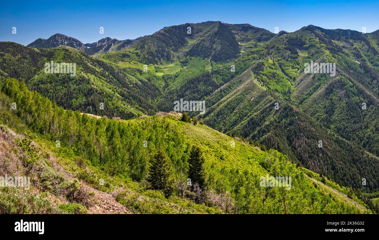 Butterfield Peaks, vista dalla strada verso West Mountain Overlook, vicino alla miniera di rame Kennecott, oltre Butterfield Pass, Oquirrh Mtns, vicino a Tooele, Utah, STATI UNITI Foto Stock