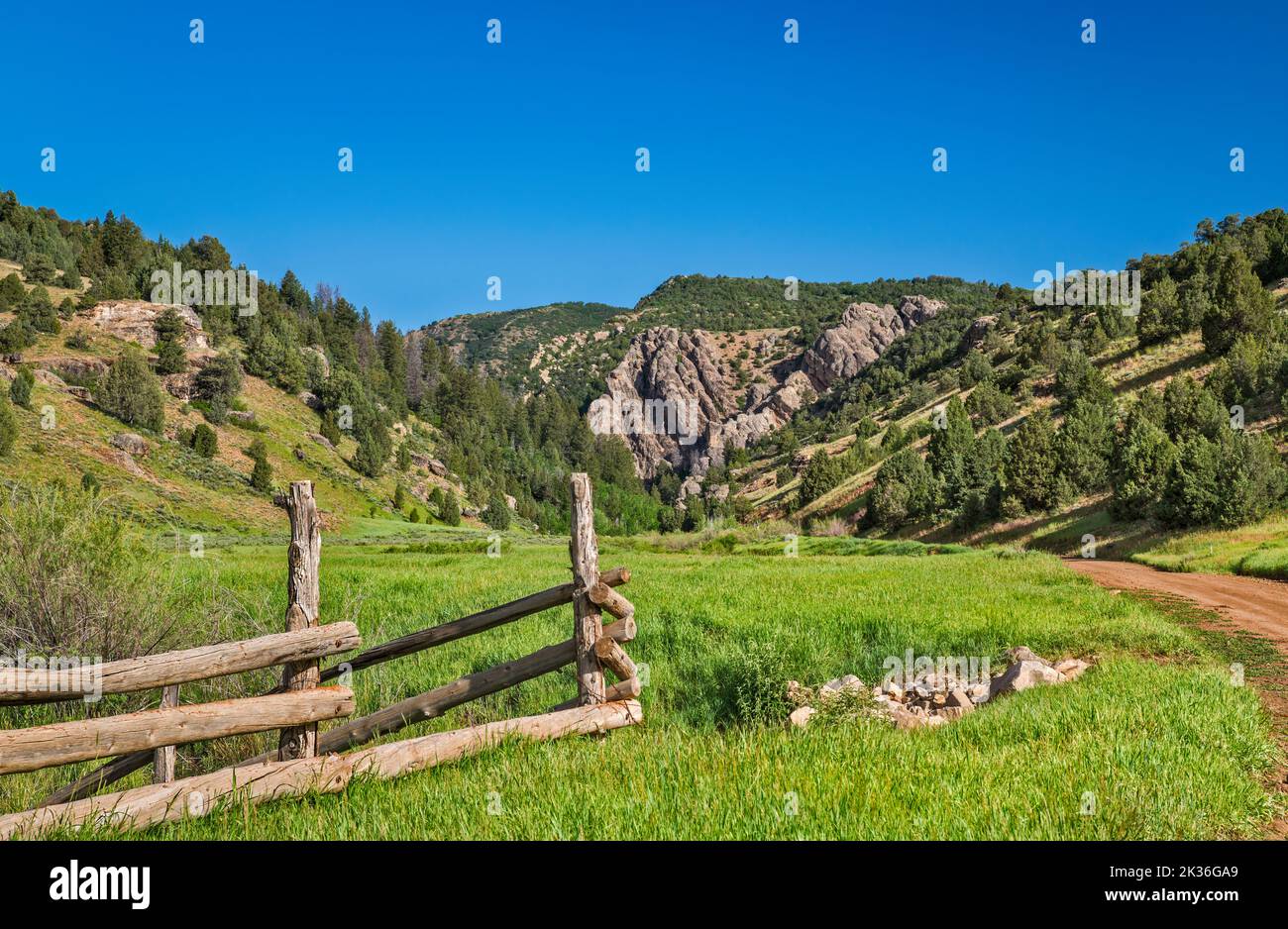 Rees Valley, Reddick Canyon in Distance, Chicken Creek Road, FR 101, San Pitch Mountains, Uinta National Forest, Utah, Stati Uniti Foto Stock