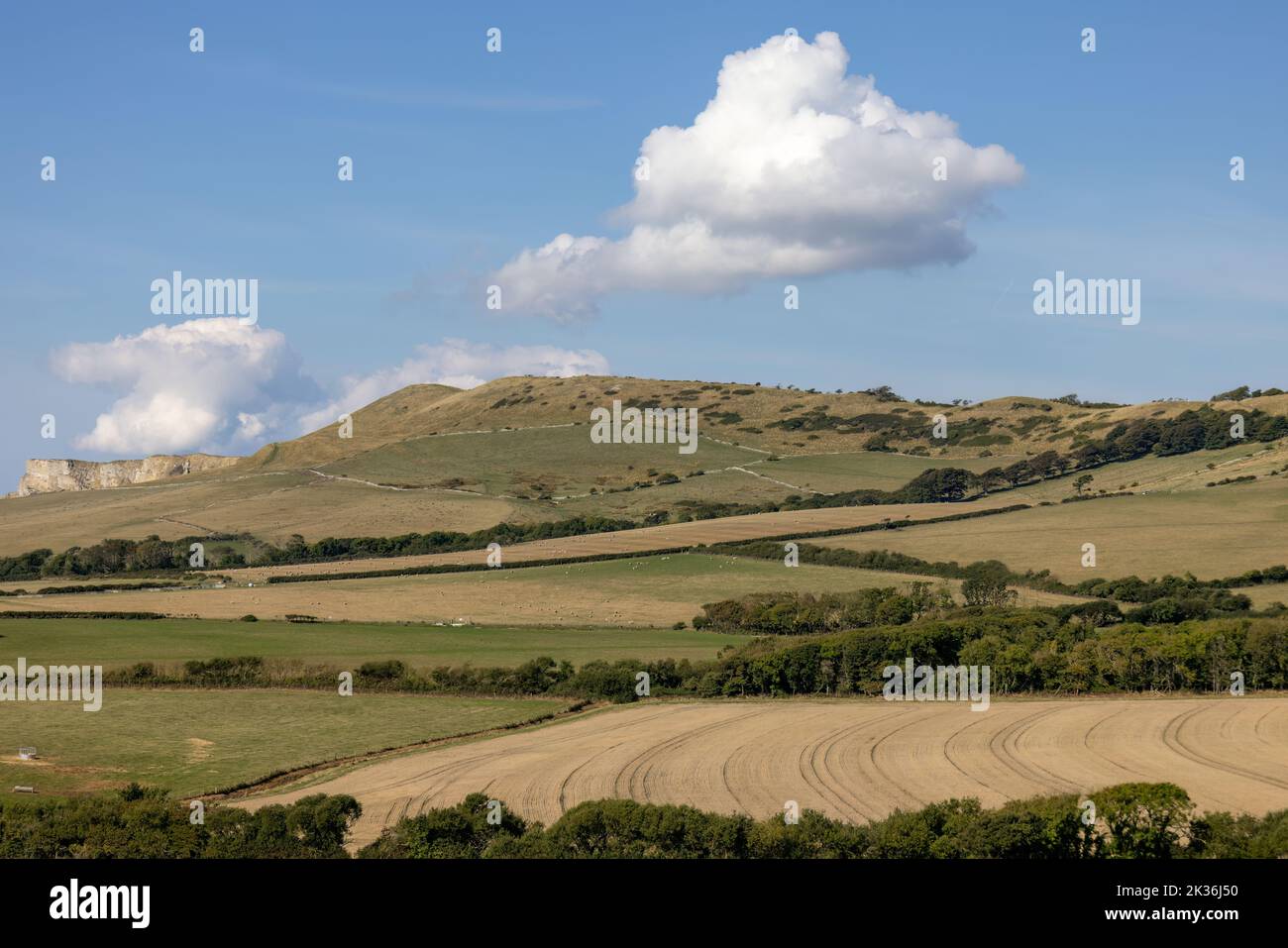 Vista del paesaggio a Kimmeridge Bay sull'isola di Purbeck in Dorset Foto Stock