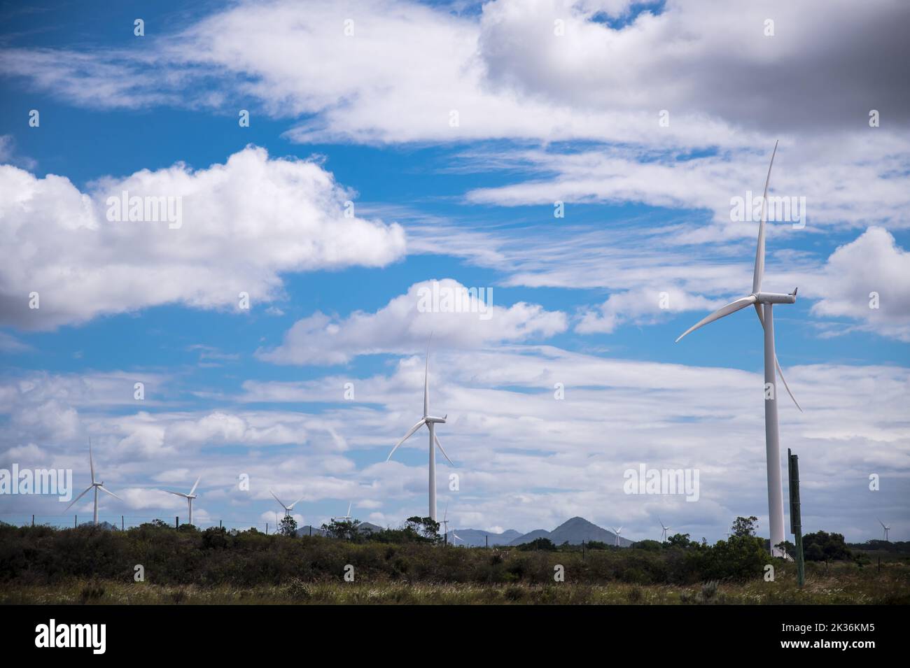 Turbine eoliche produzione di energia alternativa su terreni agricoli nuvole bianche e cieli azzurri. Un'alternativa alla produzione di energia elettrica Foto Stock