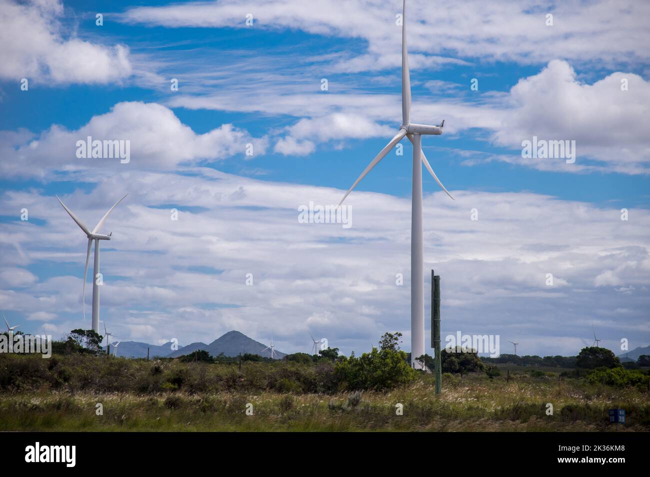 Turbine eoliche produzione di energia alternativa su terreni agricoli nuvole bianche e cieli azzurri. Un'alternativa alla produzione di energia elettrica Foto Stock