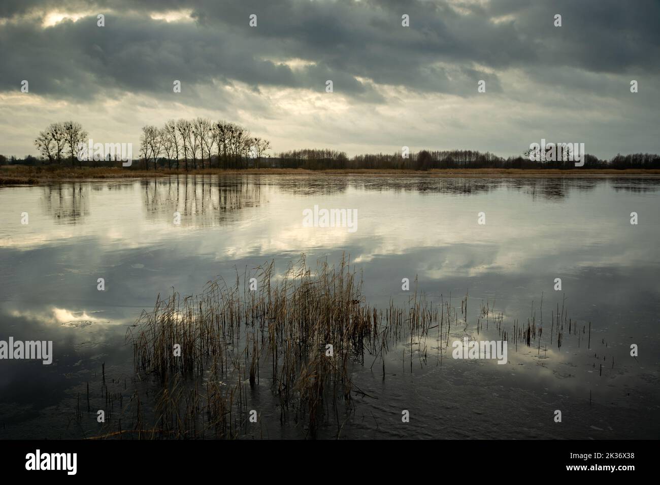 Nuvole grigie che si riflettono nell'acqua del lago, Stankow, Polonia Foto Stock