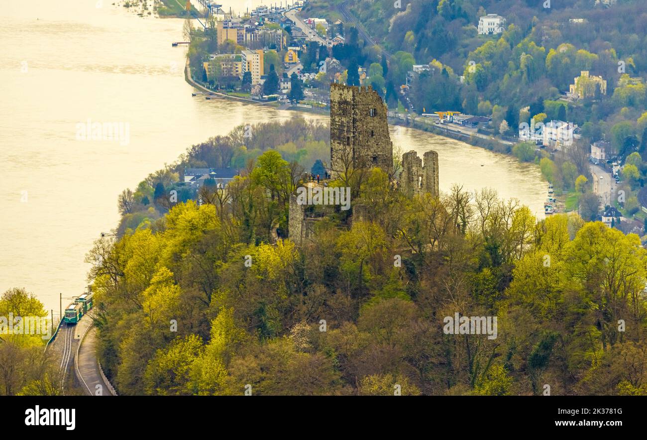 Veduta aerea, Drachenfels, rovine del castello medievale con vista sulla valle del Reno, Drachenfelsbahn, Königswinter, Renania settentrionale-Vestfalia, Germania, V Foto Stock