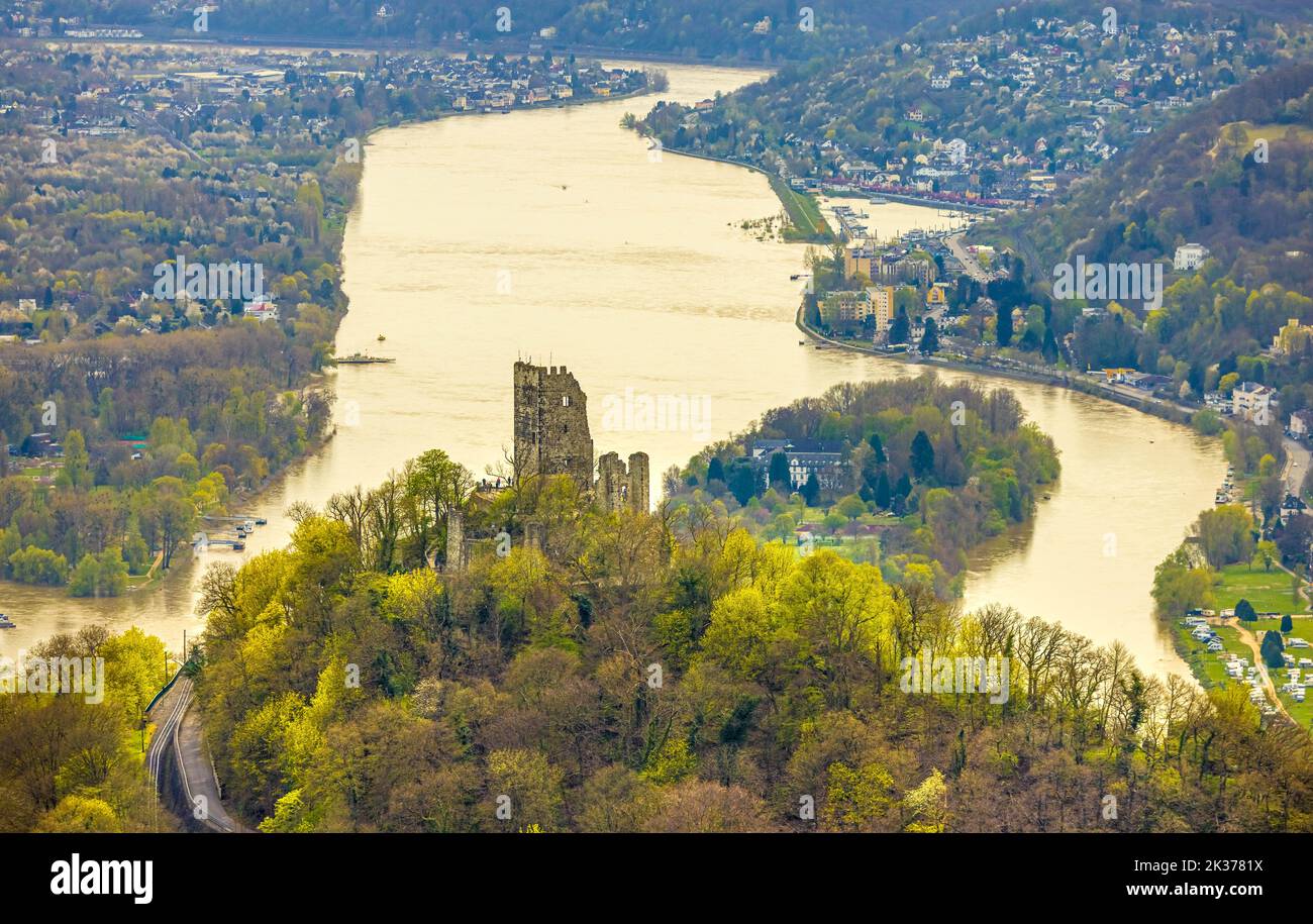Veduta aerea, Drachenfels, rovine del castello medievale con vista sulla valle del Reno e sull'isola di Nonnenwerth, Königswinter, Renania settentrionale, Renania settentrionale-Vestfalia, Germ Foto Stock