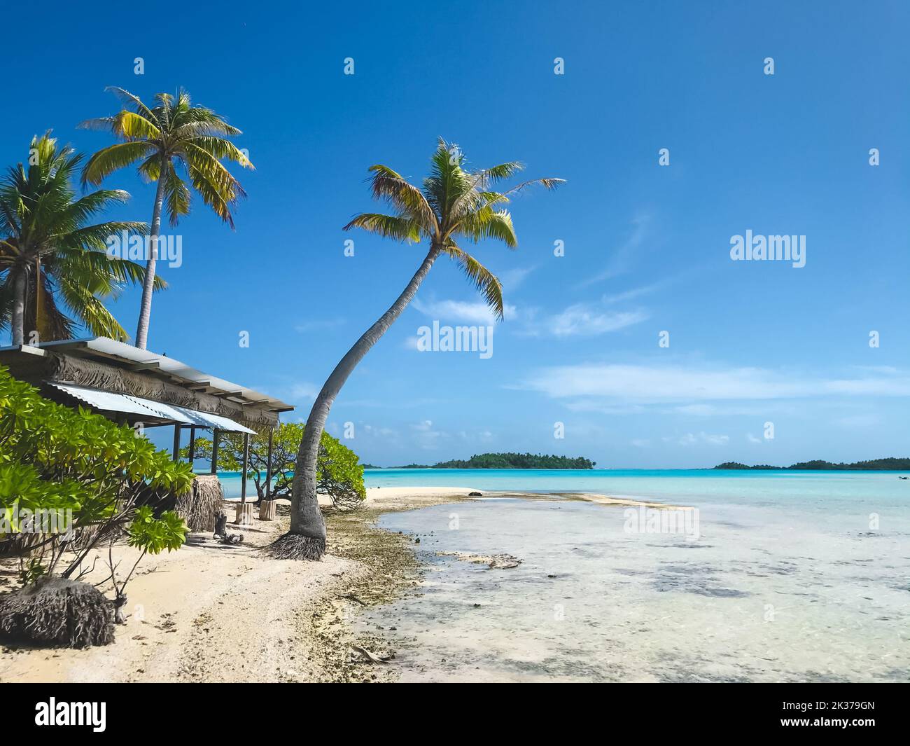 Maldive isola tropicale spiaggia. Rilassatevi nel paradiso della natura selvaggia. Laguna di acqua di mare turchese, cielo blu, palme perfetto paesaggio tropicale. Sunny esotico spiaggia tropicale paesaggio sfondo o carta da parati Foto Stock