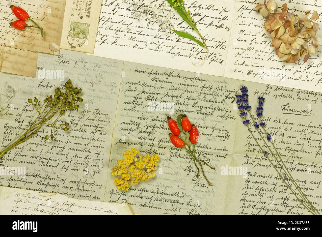 Concetto di vita morta vegetale con fiori estivi secchi, Erbe e Erbe di frutta di fronte alle lettere del 20th° secolo Foto Stock