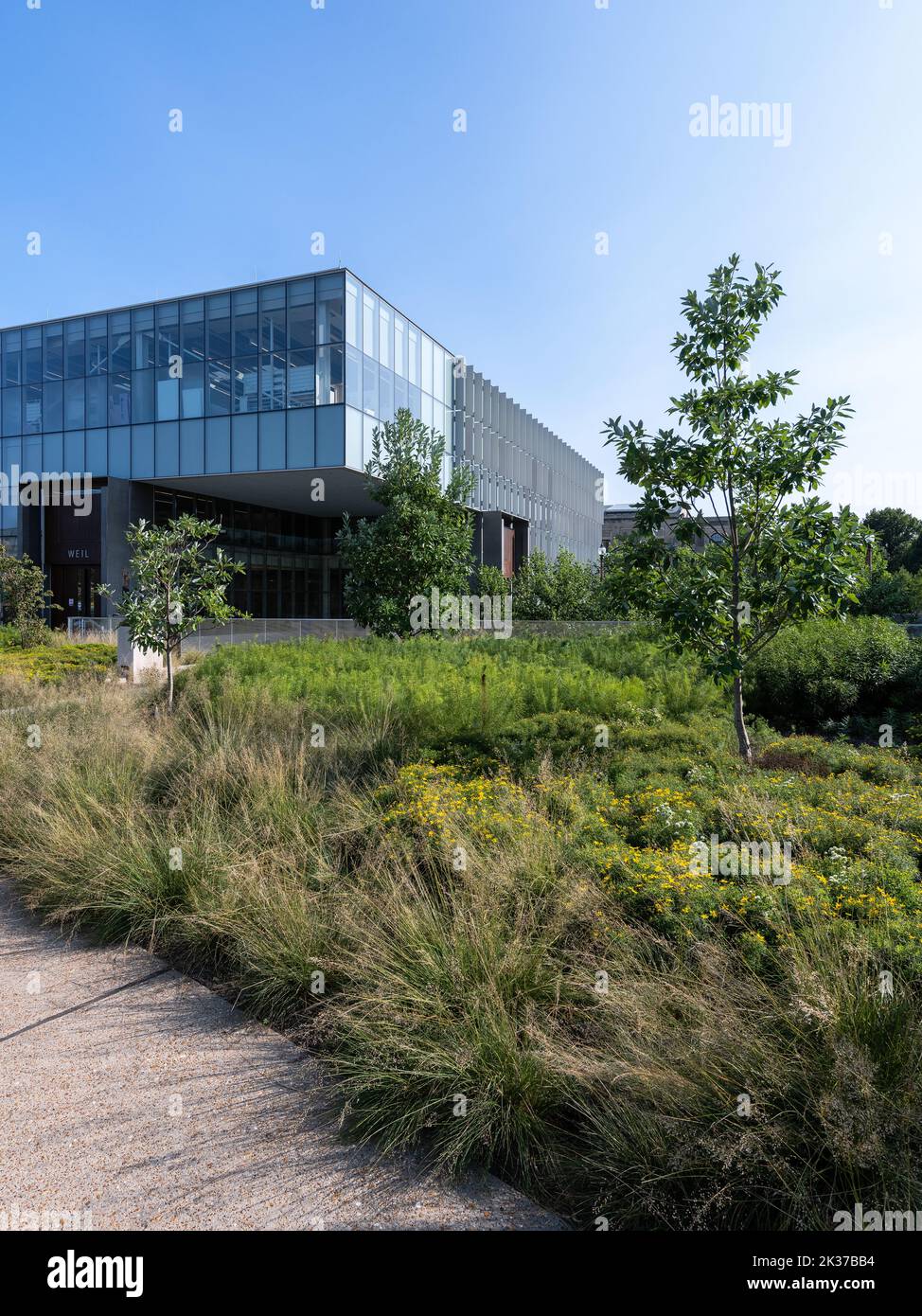Weil Hall presso la Washington University di St Louis Foto Stock