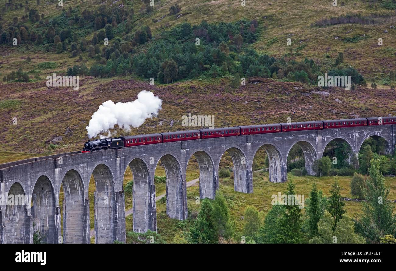 Treno a vapore Jacobite, Viadotto di Glenifinnan, Lochaber, Highlands scozzesi, Scozia, REGNO UNITO Foto Stock