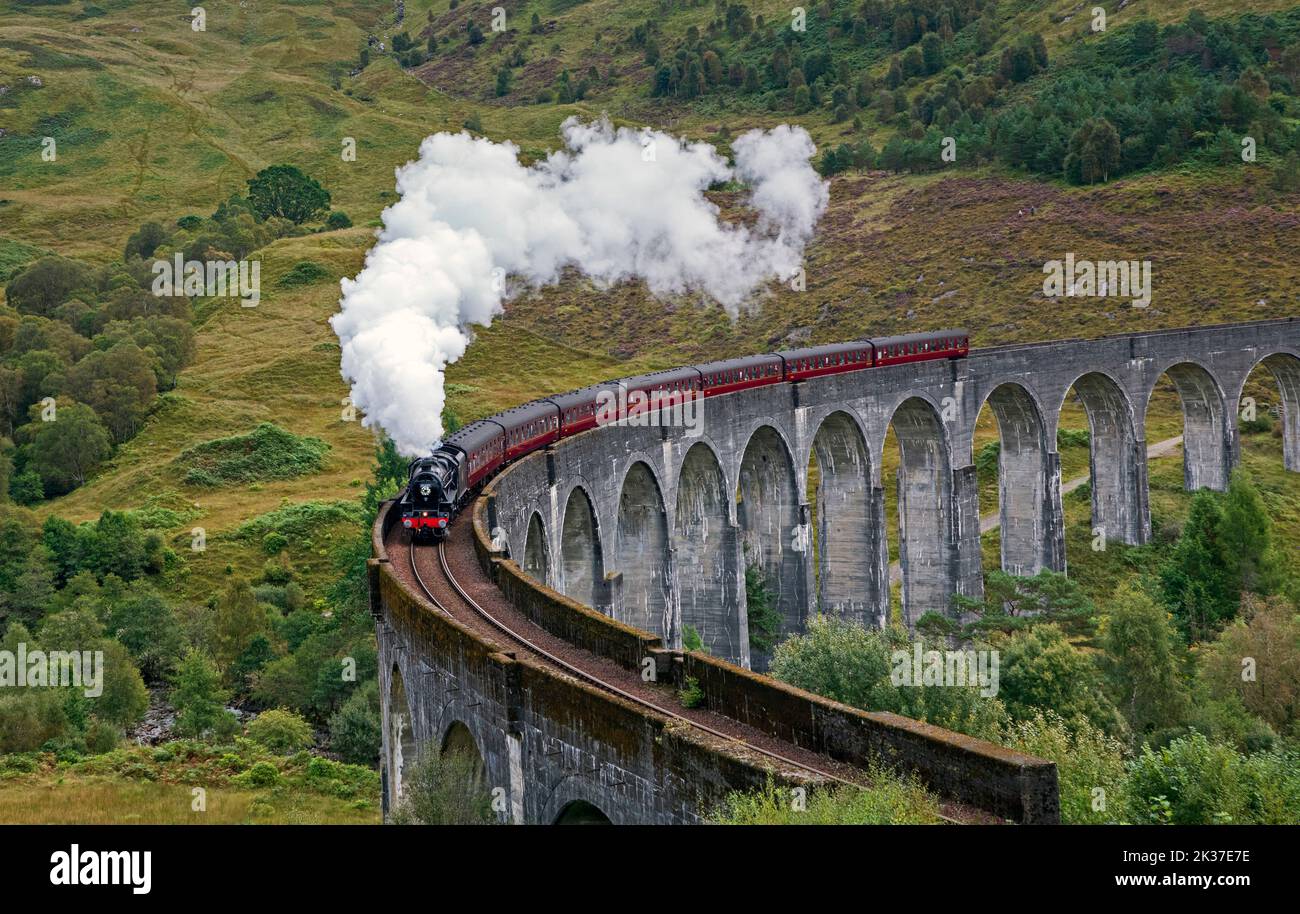 Treno a vapore Jacobite, Viadotto di Glenifinnan, Lochaber, Highlands scozzesi, Scozia, REGNO UNITO Foto Stock
