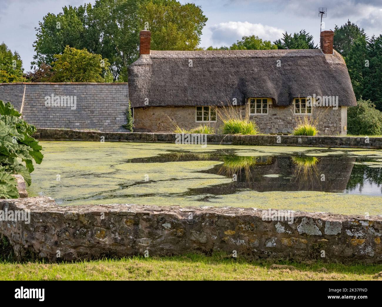 Lo stagno di anatra nel villaggio di East Quantoxhead, dove le colline Quantock incontrano la costa nel Somerset UK Foto Stock