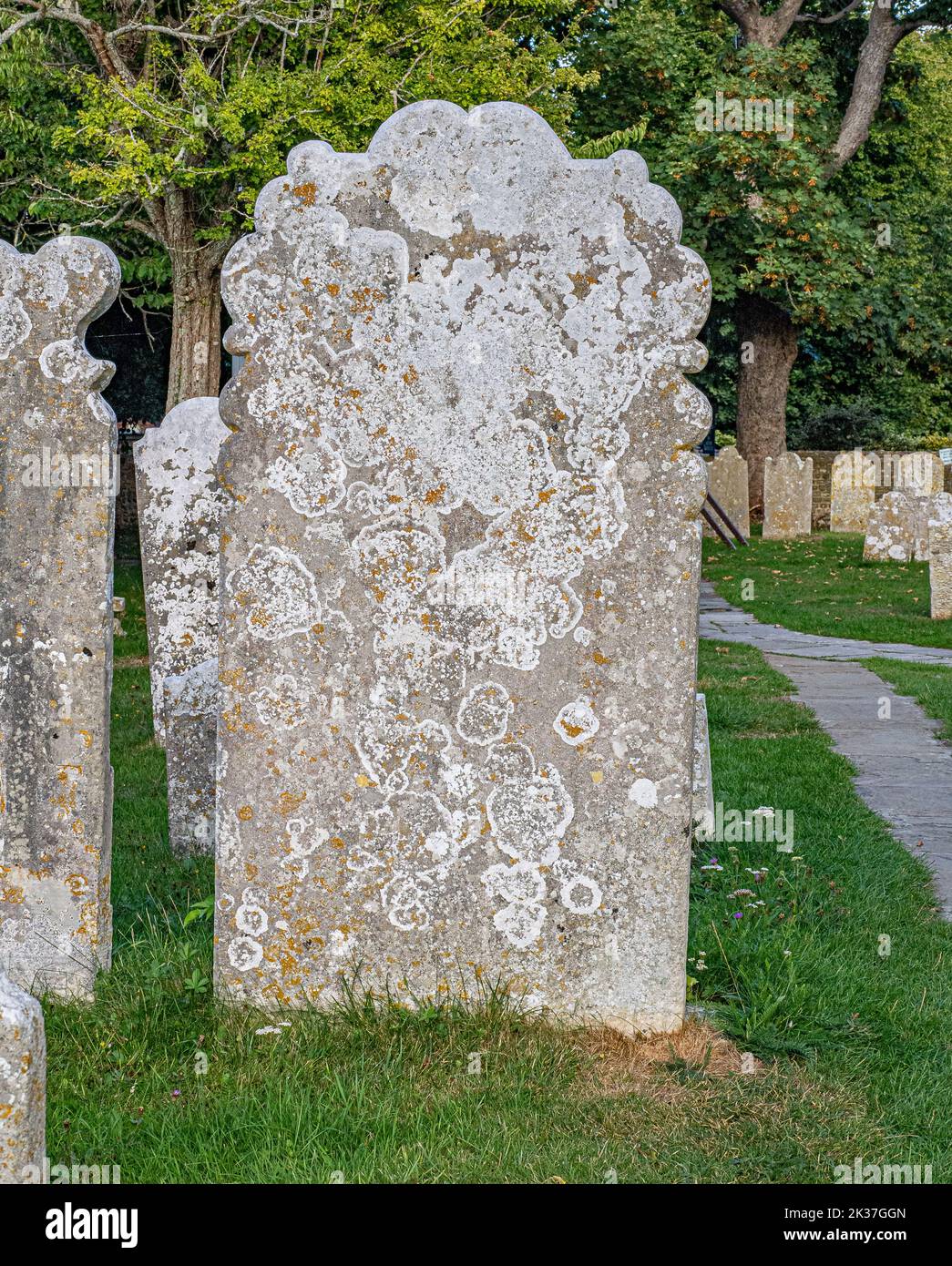 Old lichen ha coperto lapidi in un cimitero nel Sussex orientale UK Foto Stock