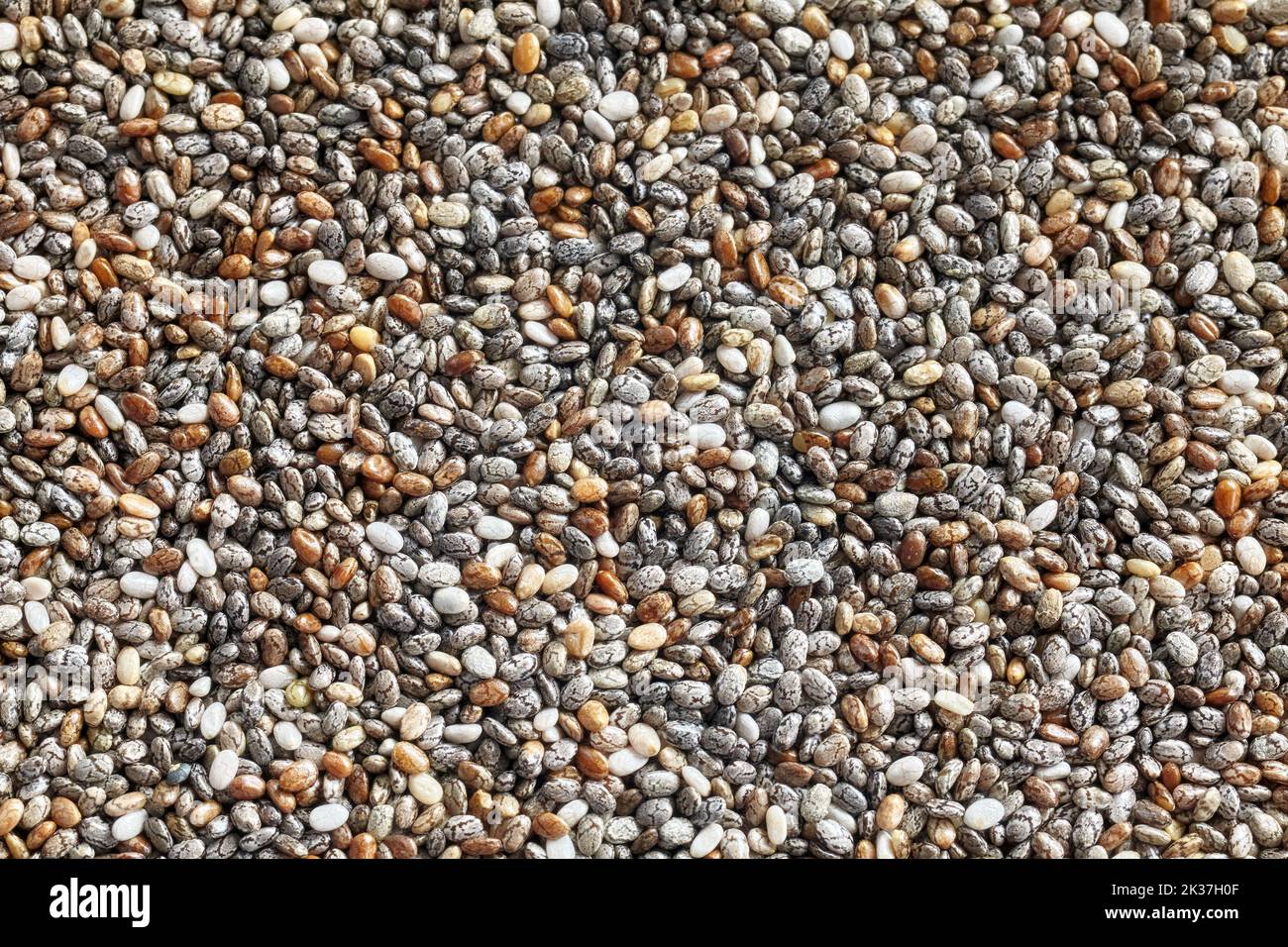 Close up foto di chia semi. Foto Stock