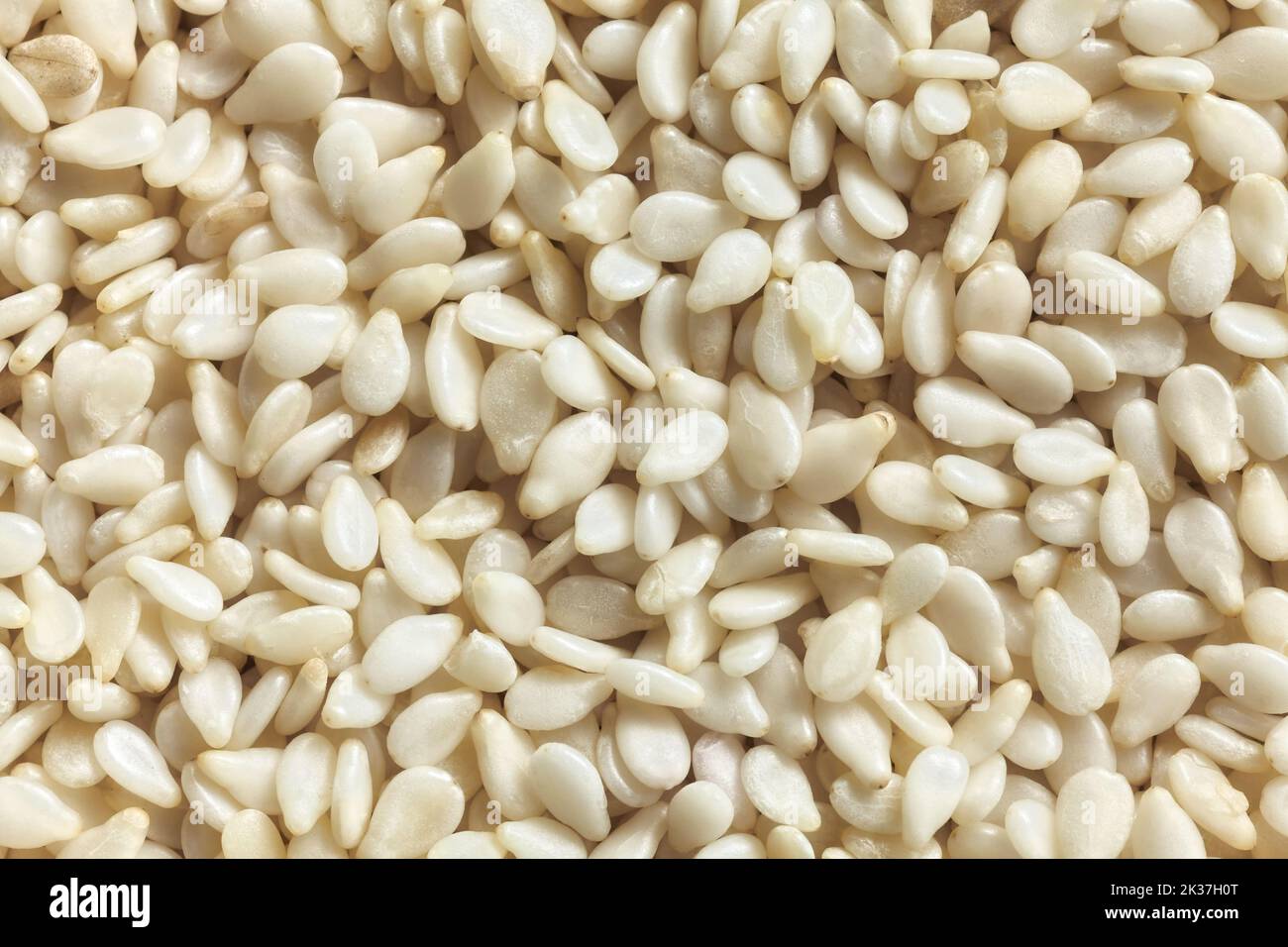 Primo piano immagine dei semi di sesamo. Foto Stock