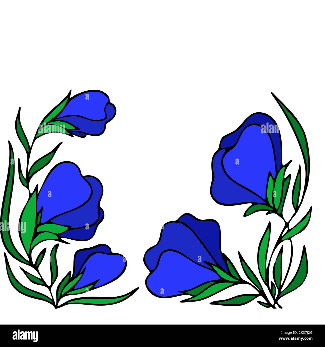 cornice floreale di grandi boccioli di fiori blu su sfondo bianco, bordo, cartolina, design Foto Stock cornice floreale di grandi boccioli di fiori blu su sfondo bianco, bordo, cartolina, design Foto Stock