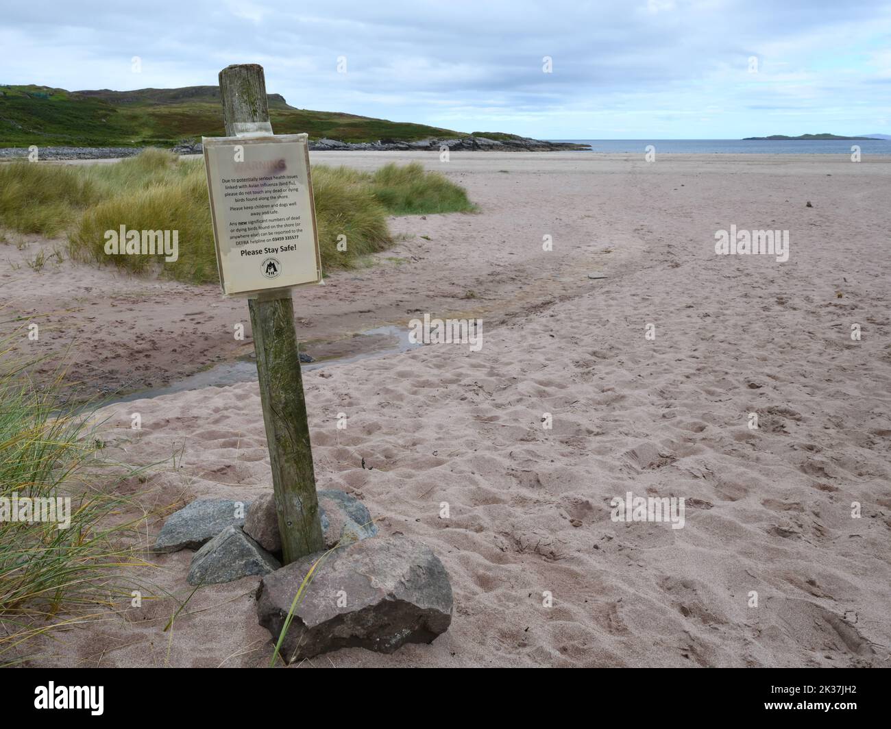 Un segnale di avvertimento su una spiaggia scozzese nelle Highlands che informa dell'influenza aviaria e delle azioni da intraprendere per trovare uccelli morti. Foto Stock