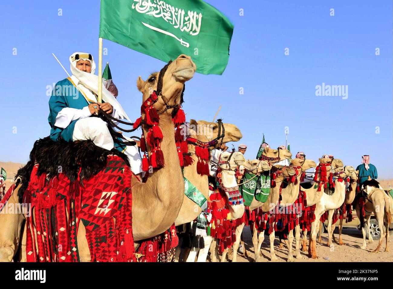 I sauditi celebrano la “Giornata Nazionale” con vari spettacoli o balli, intorno alla loro bandiera e colore verde, come qui con i cammelli nella zona di Hakel, Arabia Saudita, il 22 settembre 2022. Foto di Balkis Press/ABACAPRESS.COM Foto Stock