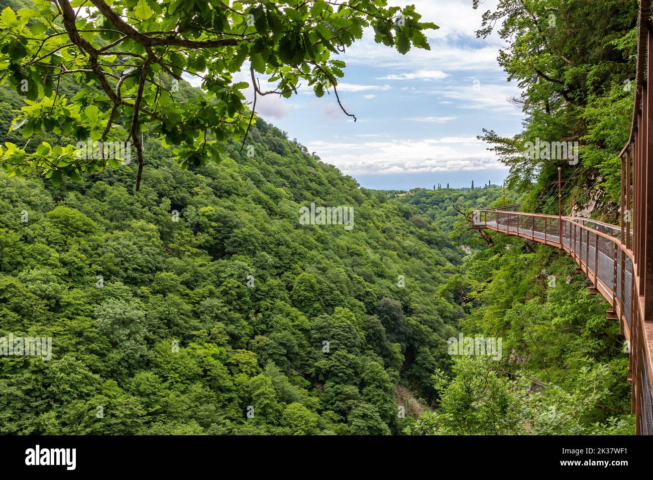 Okatse Canyon in Georgia con sentiero pedonale sospeso in metallo sopra il profondo precipizio, vegetazione lussureggiante e foreste, nessuna gente. Foto Stock