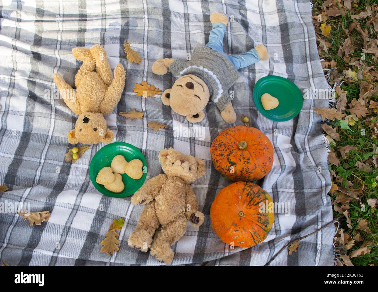 Picnic autunnale. Orsacchiotti sdraiati su una coperta a plaid. Zucche, foglie autunnali, biscotti a forma di cuore. Foto Stock