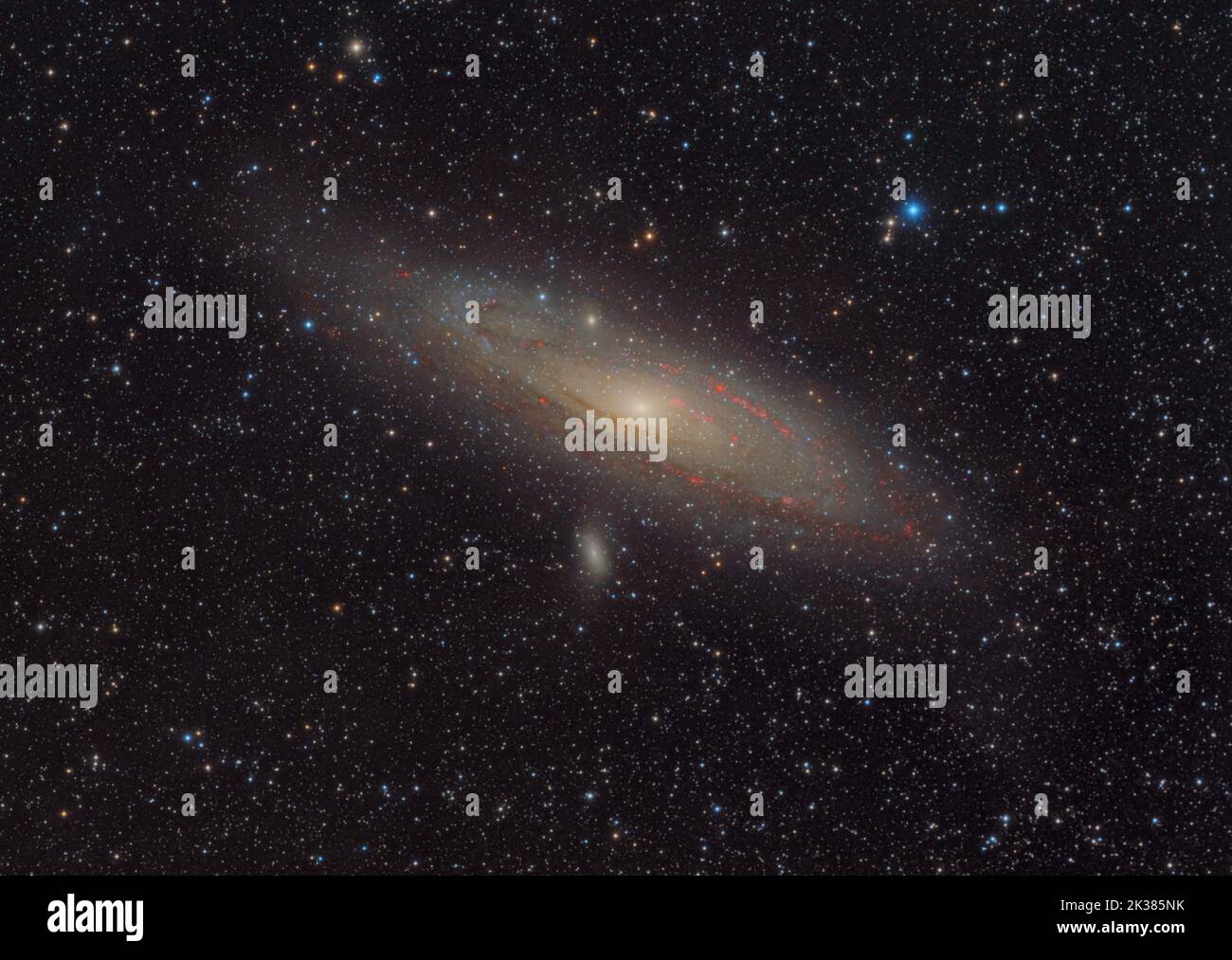 M31, la galassia di Andromeda con le sue nebulose di idrogeno Foto Stock
