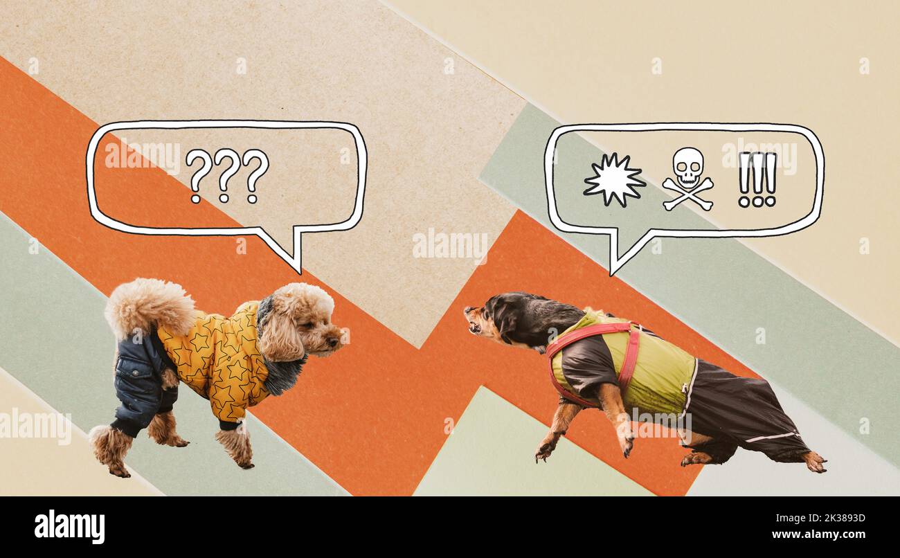 Aggressivo, cane reattivo sul guinzaglio di fronte a un altro cane contro sfondo isolato con bolla di linguaggio. Divertente dachshund con simboli stile fumetto Foto Stock