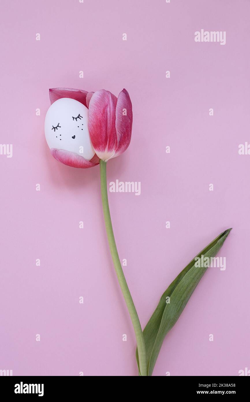 Uovo con il viso che dorme su tulipano su fondo rosa pastello. Simbolo della foto Pasqua, tulipano con uovo di pollo. Faccia dell'uovo dipinta. Decorazioni pasquali. Foto Stock