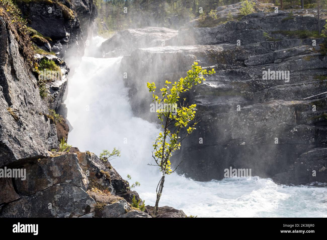 Ulvåa viene visualizzato spento Foto Stock