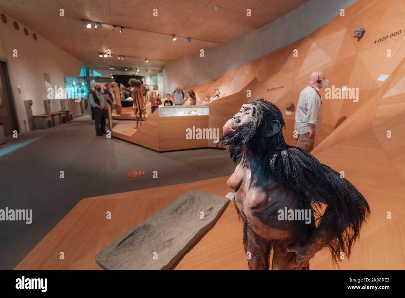 22 luglio 2022, Museo di Neanderthal, Germania: Lucy - Australopithecus afarensis antenato umano di Charles Darwin Evolution Theory and antropology scienc Foto Stock