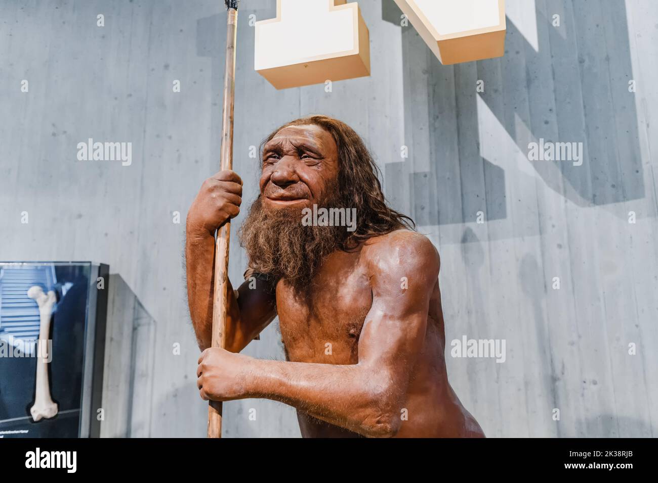 22 luglio 2022, museo di Neanderthal, Germania: Figura in cera dettagliata del caveman preistorico di Neanderthal con lancia nel museo. Antropologia dei Sapiens umani Foto Stock