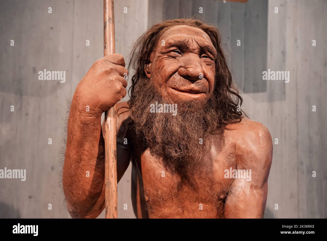 22 luglio 2022, museo di Neanderthal, Germania: Figura in cera dettagliata del caveman preistorico di Neanderthal con lancia nel museo. Antropologia dei Sapiens umani Foto Stock