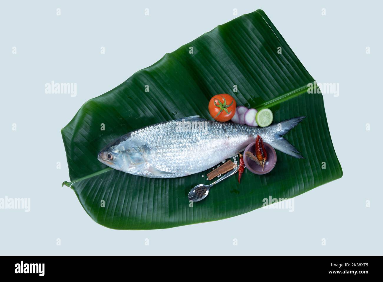 Boishakh panta ilish Pesci nazionali del Bangladesh Hilsafish ilisha terbuk hilsa aringa o hilsa shad famiglia Clupeidae su sfondo bianco, la farsa popolare Foto Stock