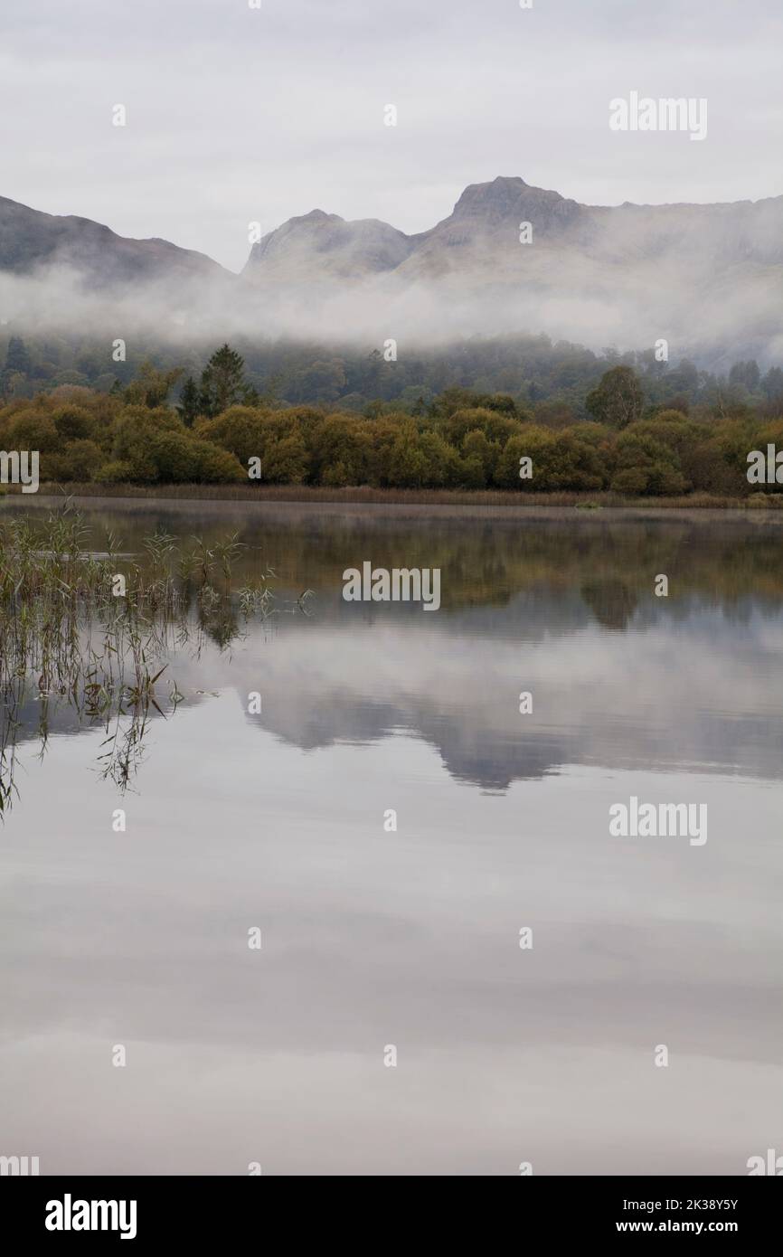 Langdale Pikes si riflette in Elter Water, Lake District, Regno Unito Foto Stock