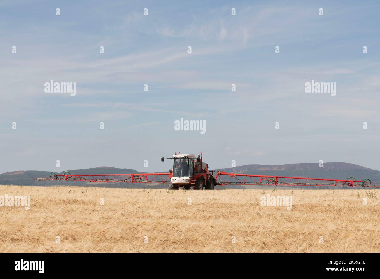 Irroratrice semovente Bateman Crop che opera in un campo di Barley che mostra il braccio irroratrice esteso Foto Stock