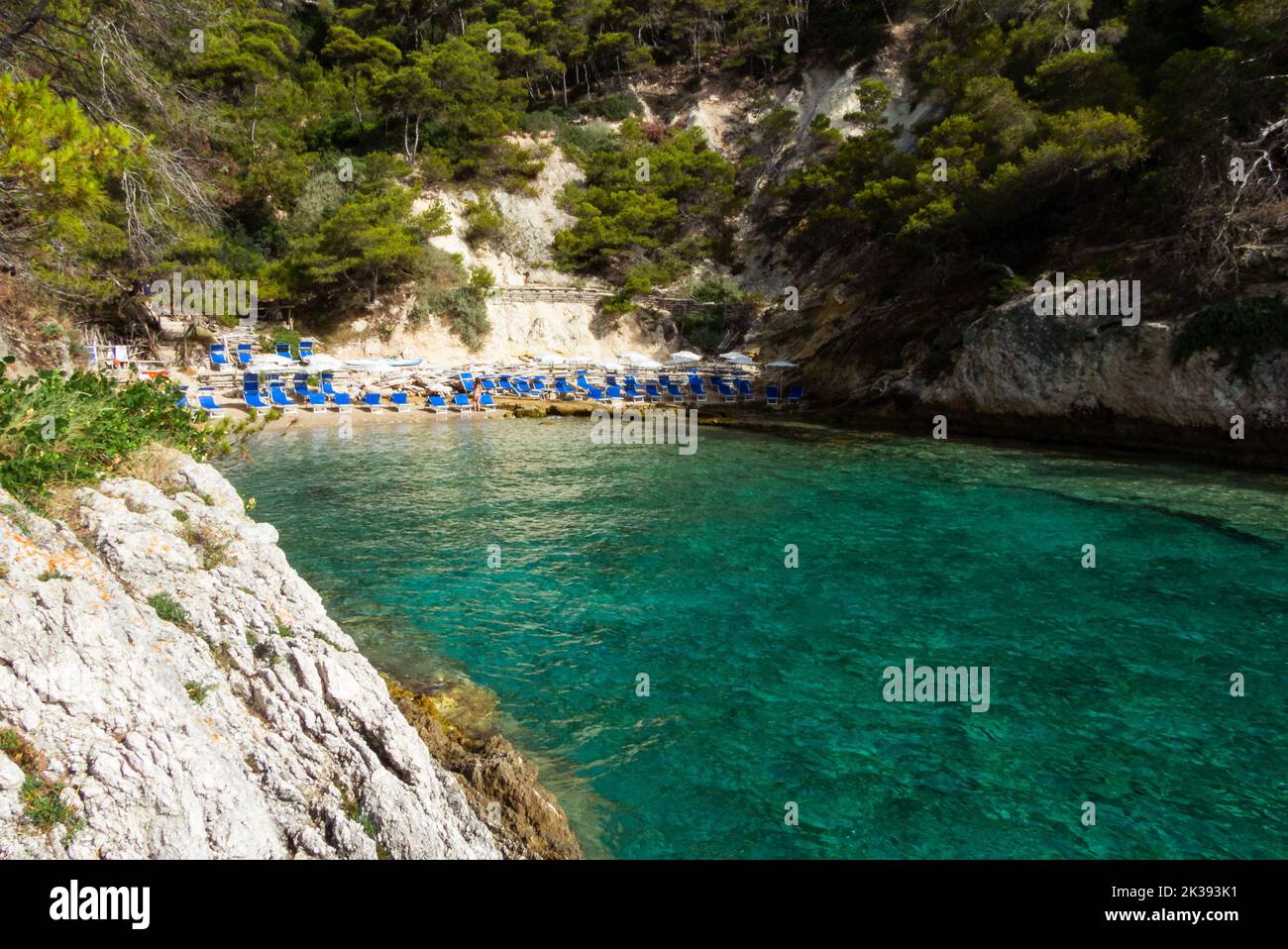 Una spiaggia idilliaca con sedie a sdraio blu tra scogliere boscose sull'isola di San Domino nell'arcipelago delle Tremiti Foto Stock