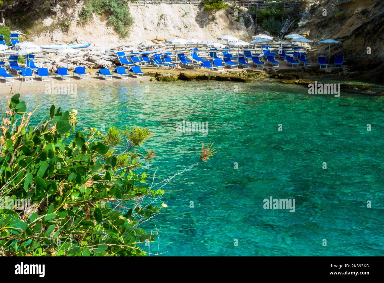 Una spiaggia idilliaca con sedie a sdraio blu tra scogliere boscose sull'isola di San Domino nell'arcipelago delle Tremiti Foto Stock