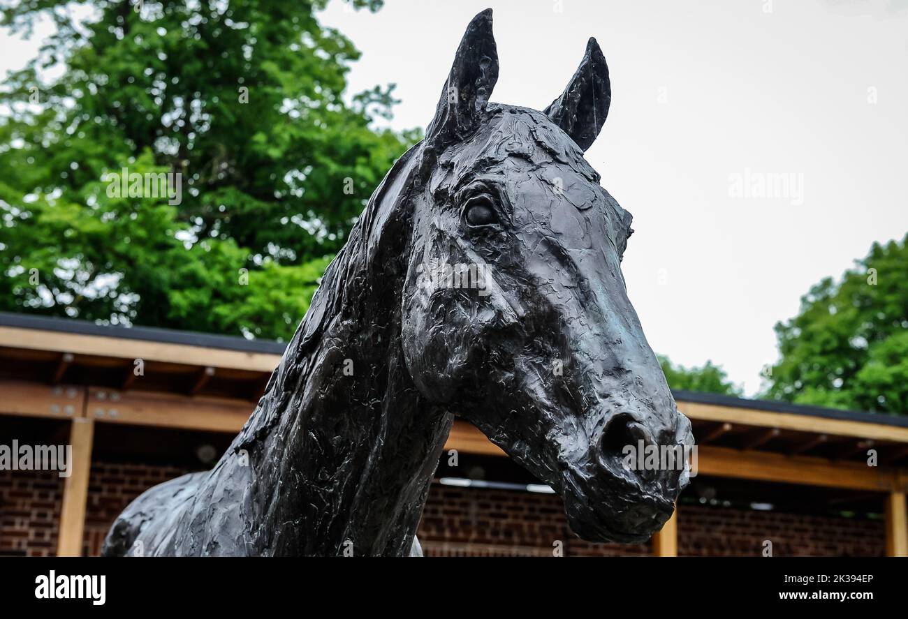Scene del secondo giorno del Tribute Weekend dell'ippodromo di York, domenica 22nd maggio 2022, con la Sky Bet Sunday Series Foto Stock