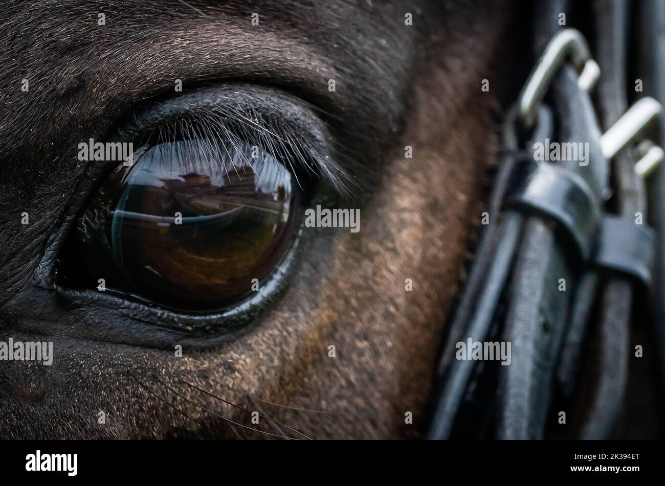 Scene del secondo giorno del Tribute Weekend dell'ippodromo di York, domenica 22nd maggio 2022, con la Sky Bet Sunday Series Foto Stock