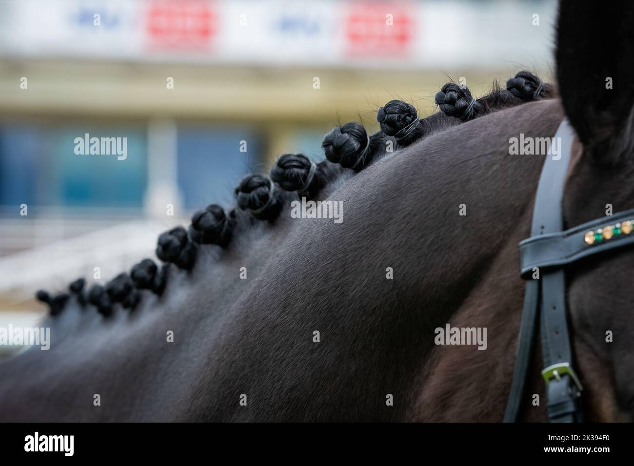 Scene del secondo giorno del Tribute Weekend dell'ippodromo di York, domenica 22nd maggio 2022, con la Sky Bet Sunday Series Foto Stock