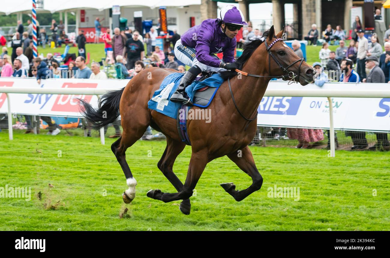 Scene del secondo giorno del Tribute Weekend dell'ippodromo di York, domenica 22nd maggio 2022, con la Sky Bet Sunday Series Foto Stock