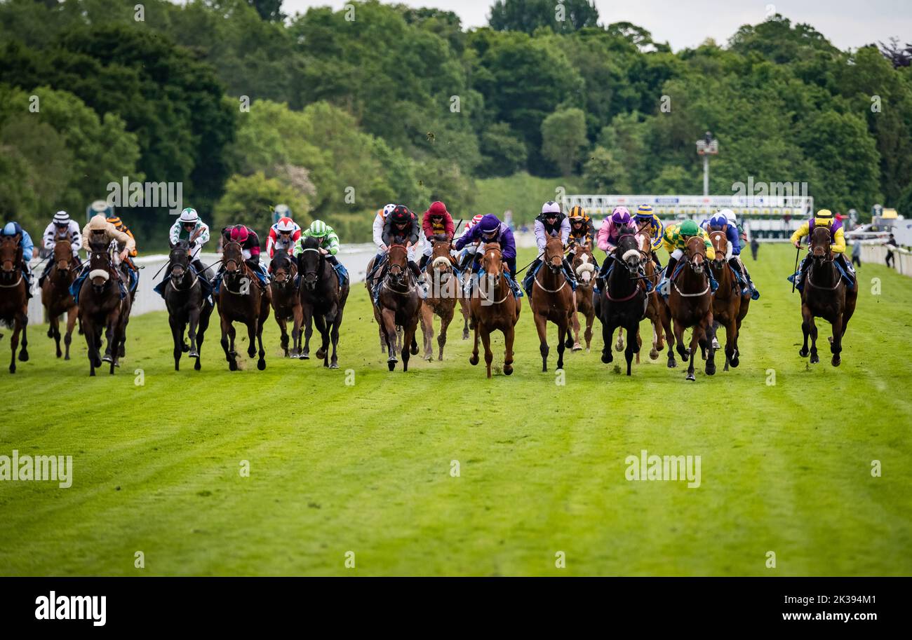 Scene del secondo giorno del Tribute Weekend dell'ippodromo di York, domenica 22nd maggio 2022, con la Sky Bet Sunday Series Foto Stock