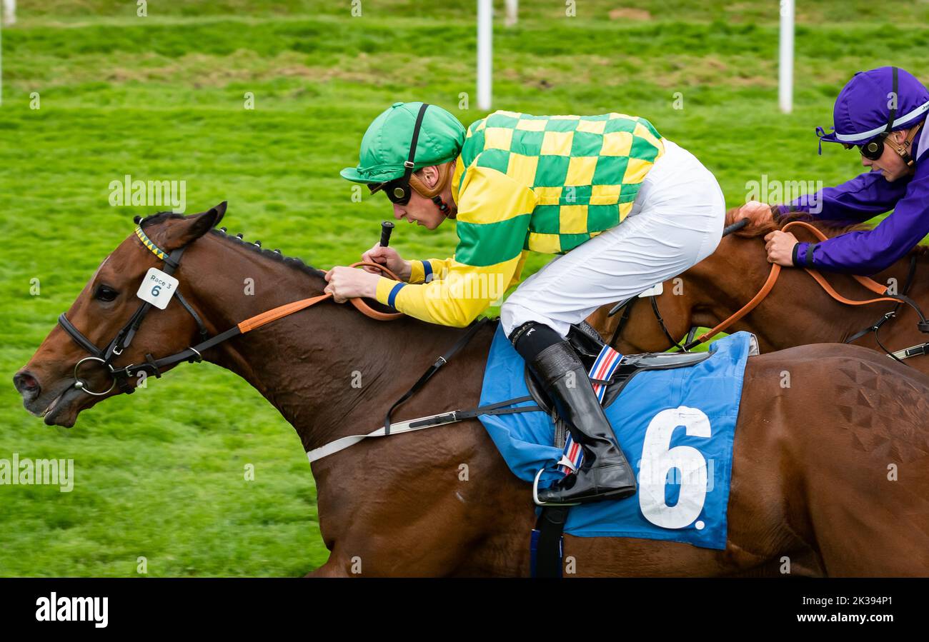 Scene del secondo giorno del Tribute Weekend dell'ippodromo di York, domenica 22nd maggio 2022, con la Sky Bet Sunday Series Foto Stock