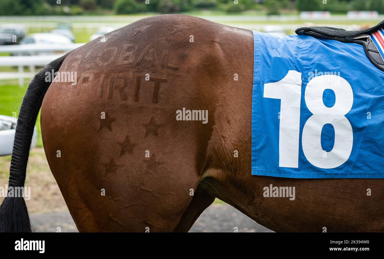 Scene del secondo giorno del Tribute Weekend dell'ippodromo di York, domenica 22nd maggio 2022, con la Sky Bet Sunday Series Foto Stock