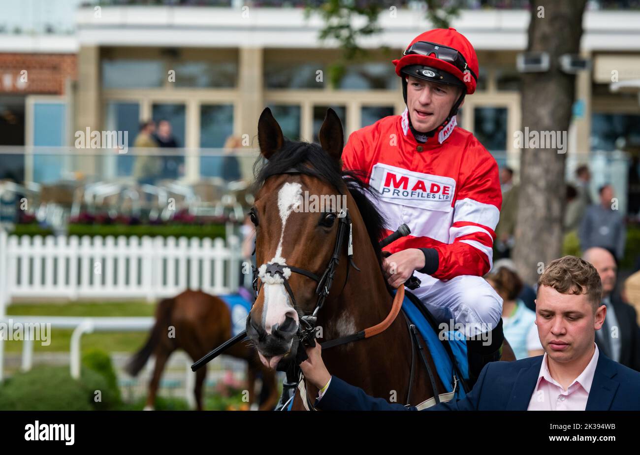 Scene del secondo giorno del Tribute Weekend dell'ippodromo di York, domenica 22nd maggio 2022, con la Sky Bet Sunday Series Foto Stock