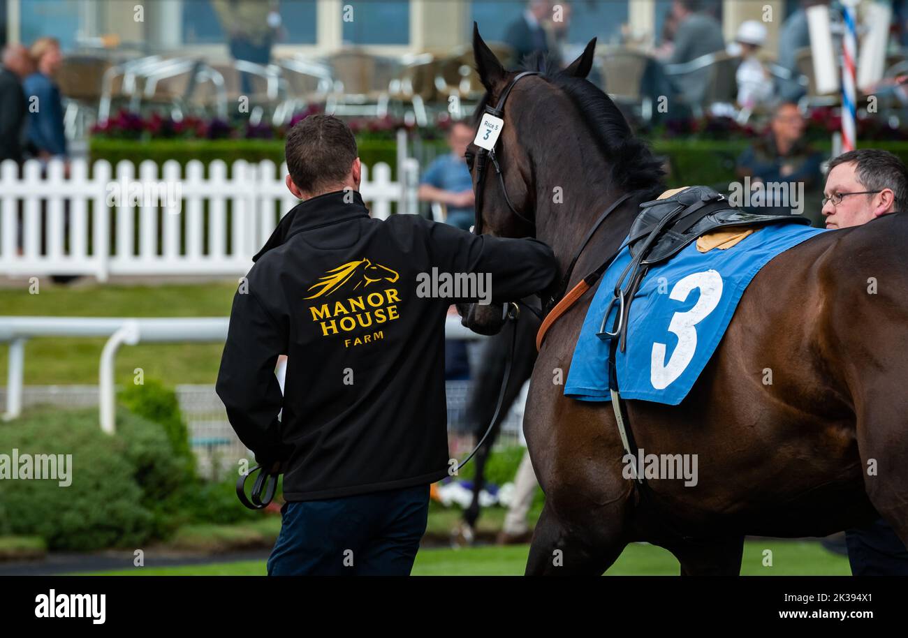 Scene del secondo giorno del Tribute Weekend dell'ippodromo di York, domenica 22nd maggio 2022, con la Sky Bet Sunday Series Foto Stock