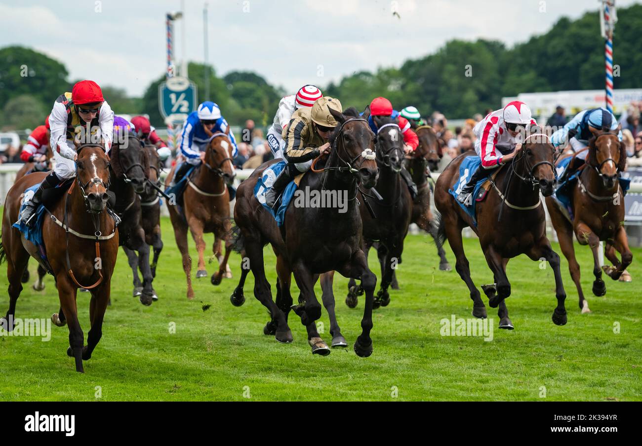 Scene del secondo giorno del Tribute Weekend dell'ippodromo di York, domenica 22nd maggio 2022, con la Sky Bet Sunday Series Foto Stock